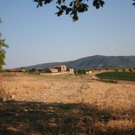 Agriturismo Podere Del Vescovo Montenero d'Orcia エクステリア 写真