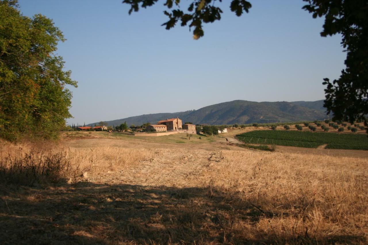 Agriturismo Podere Del Vescovo Montenero d'Orcia エクステリア 写真