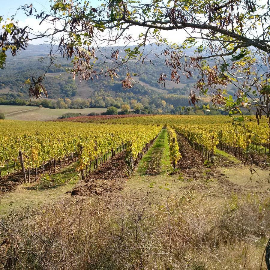 Agriturismo Podere Del Vescovo Montenero d'Orcia エクステリア 写真