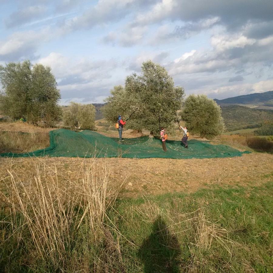 Agriturismo Podere Del Vescovo Montenero d'Orcia エクステリア 写真