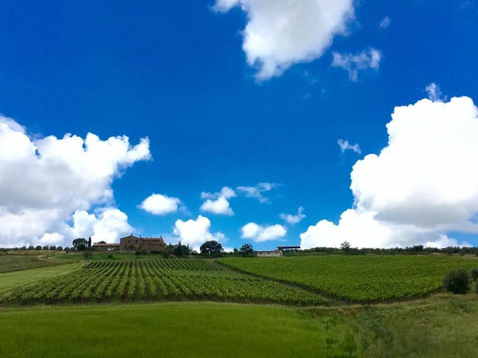 Agriturismo Podere Del Vescovo Montenero d'Orcia エクステリア 写真