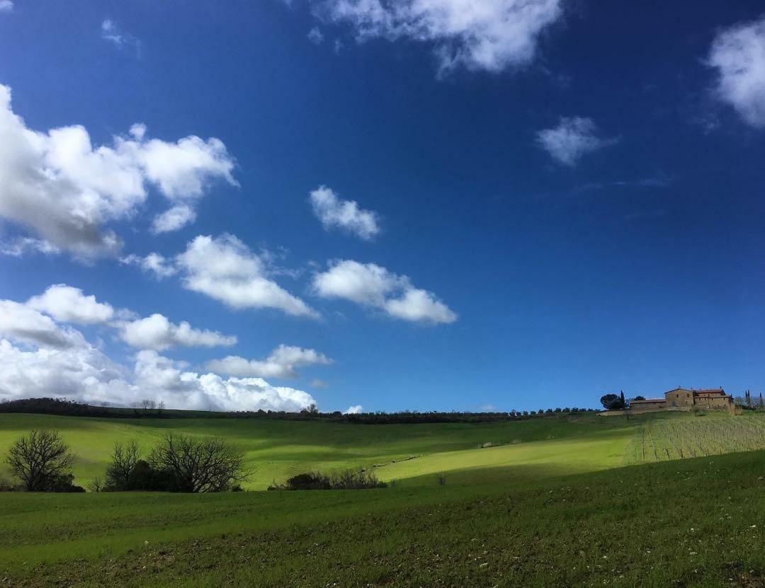Agriturismo Podere Del Vescovo Montenero d'Orcia エクステリア 写真